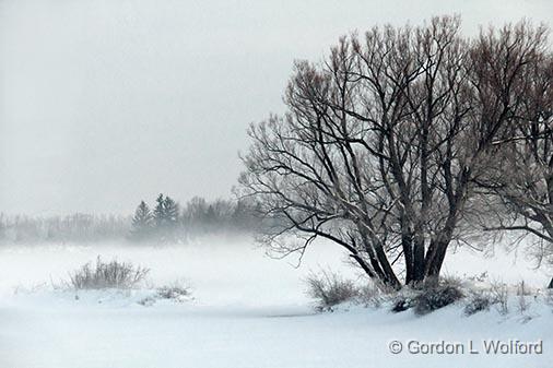 Trees Beside Frozen Canal_32727.jpg - Photographed along the Rideau Canal Waterway near Smiths Falls, Ontario, Canada.